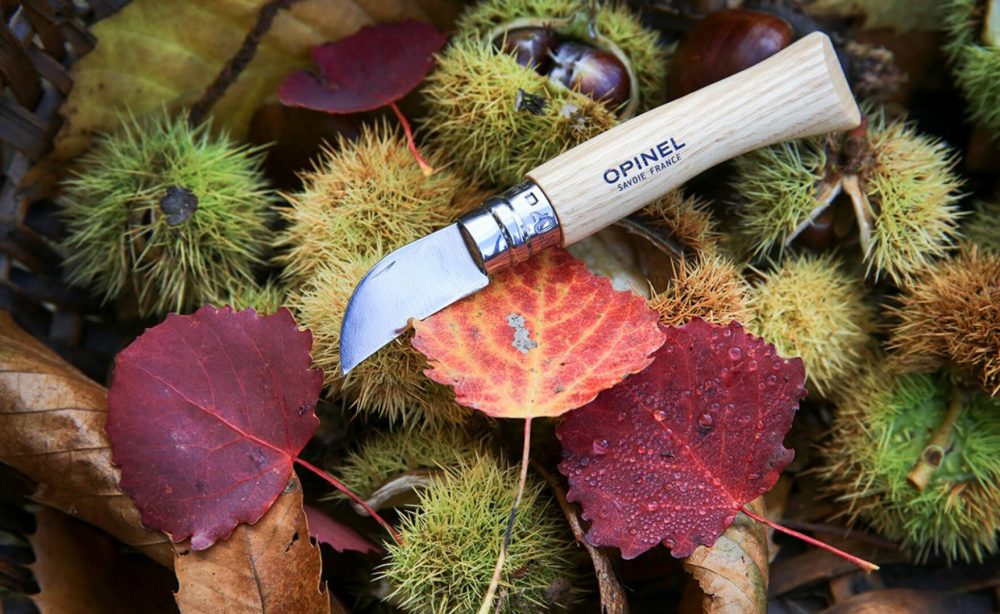 Couteau Opinel n°7 Châtaigne